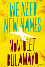 We Need New Names cover